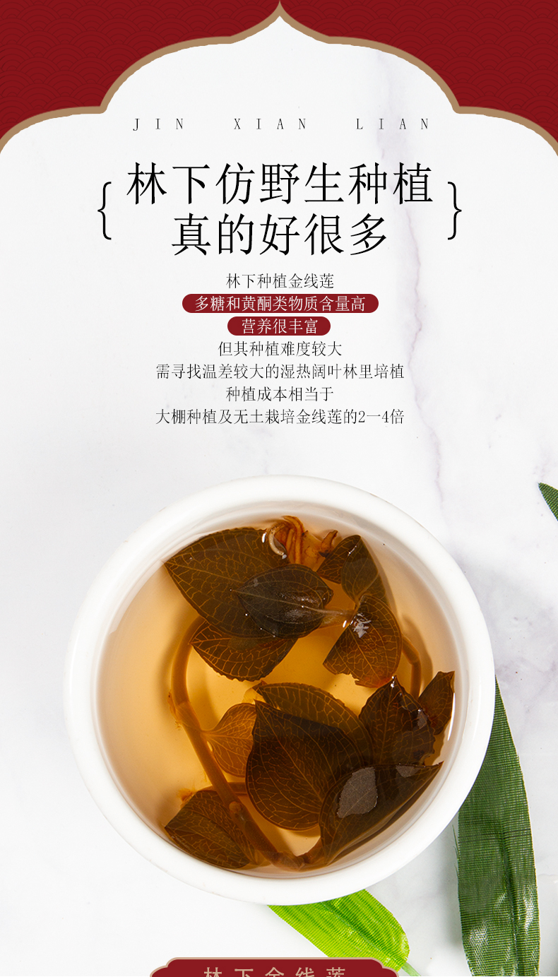 福建南靖金線蓮幹品