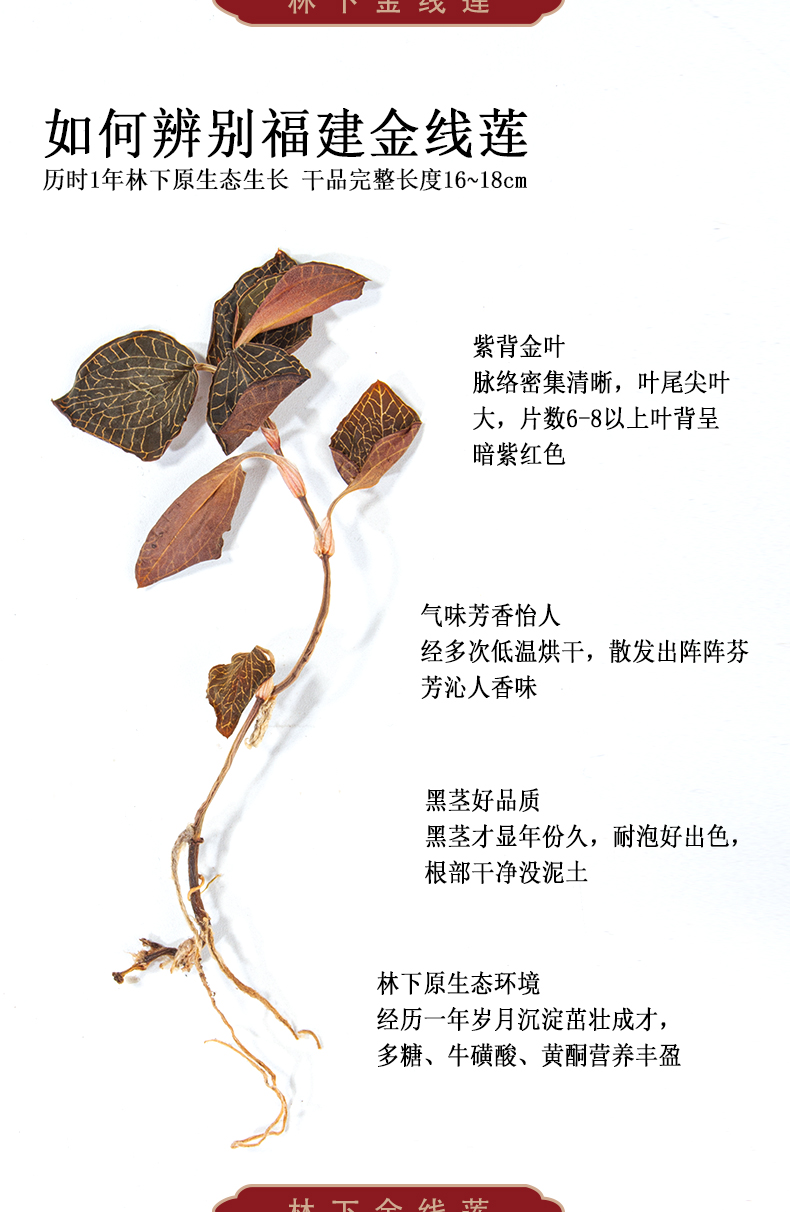 福建南靖金線蓮幹品