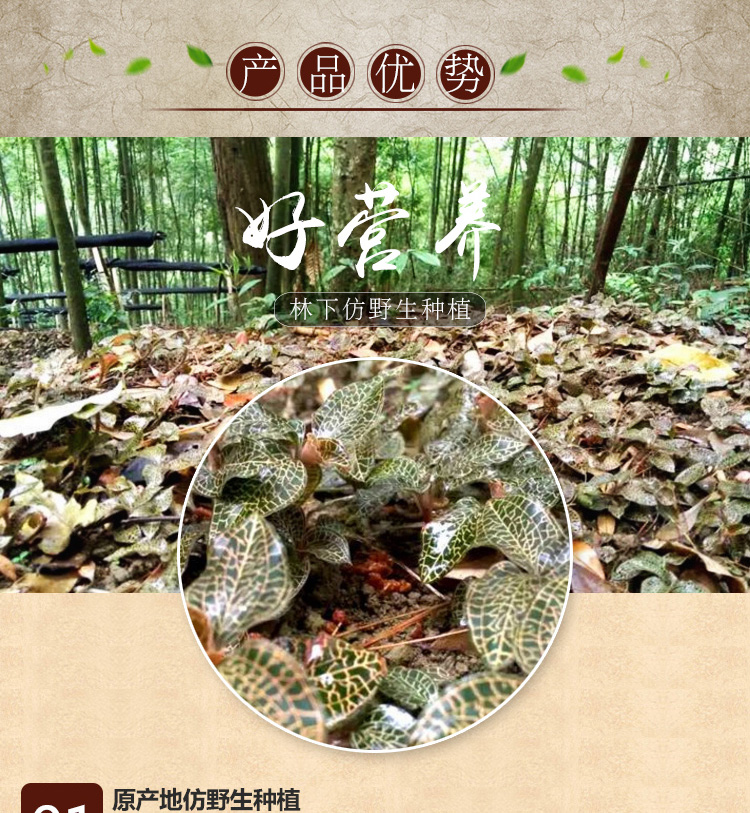<a href=/ target='_blank'>金線蓮</a>幹品 20克禮盒裝