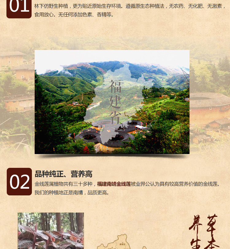 金線蓮幹品 20克禮盒裝