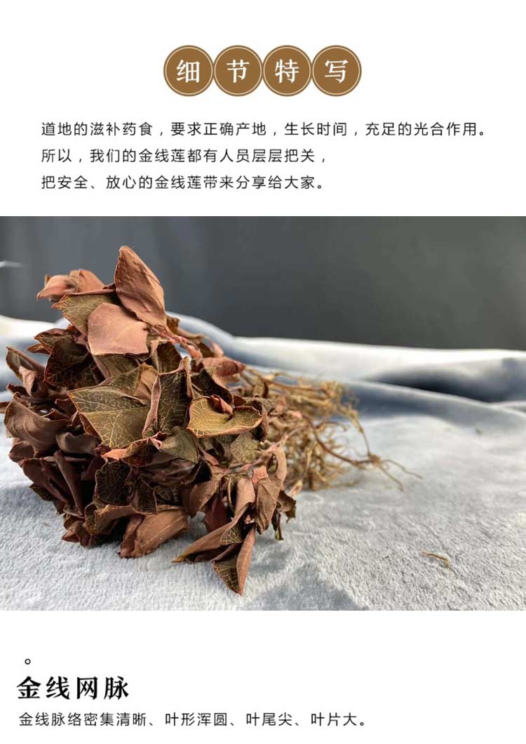 金線蓮幹品 50克10管 禮盒裝