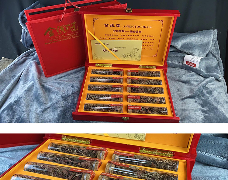 金線蓮幹品 50克10管 禮盒裝