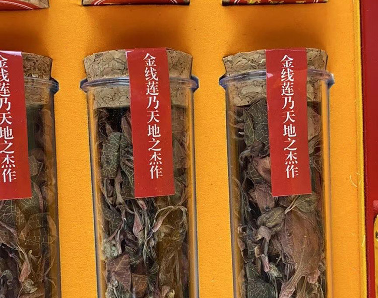 金線蓮幹品 50克10管 禮盒裝