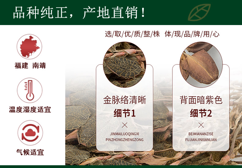 品種純正，産地直銷！