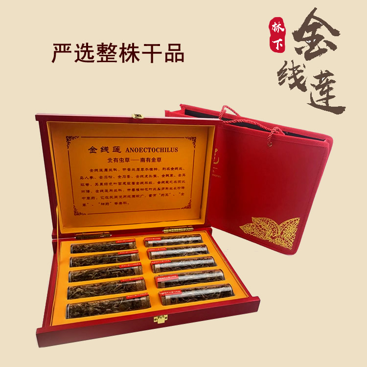 金線蓮幹品 50克10管 禮盒裝