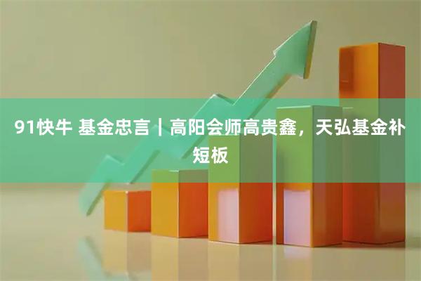 91快牛 基金忠言｜高阳会师高贵鑫，天弘基金补短板