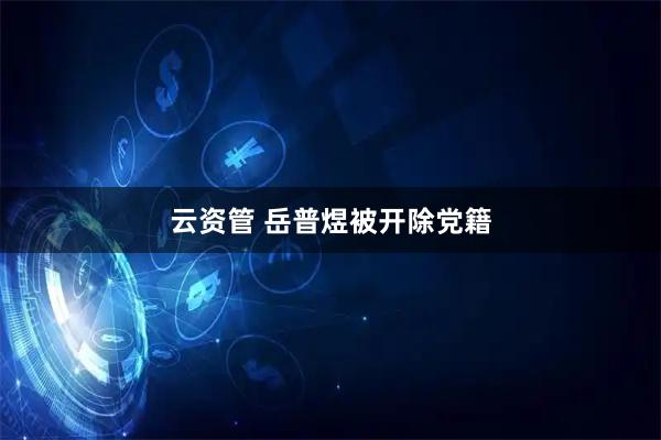 云资管 岳普煜被开除党籍